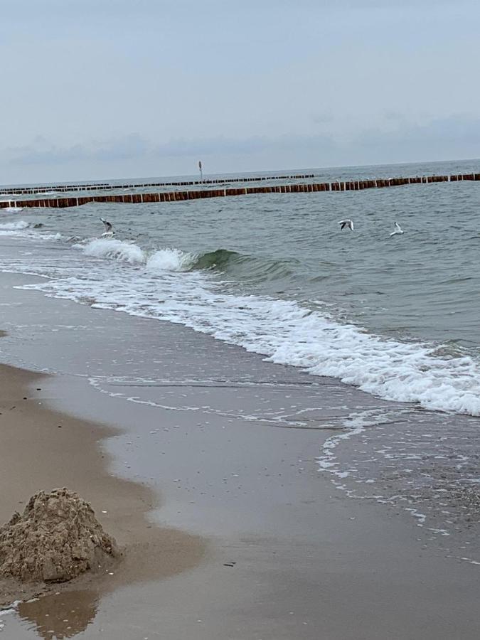 Ive'S Gardenia Seaside Apartment Dziwnow Bagian luar foto
