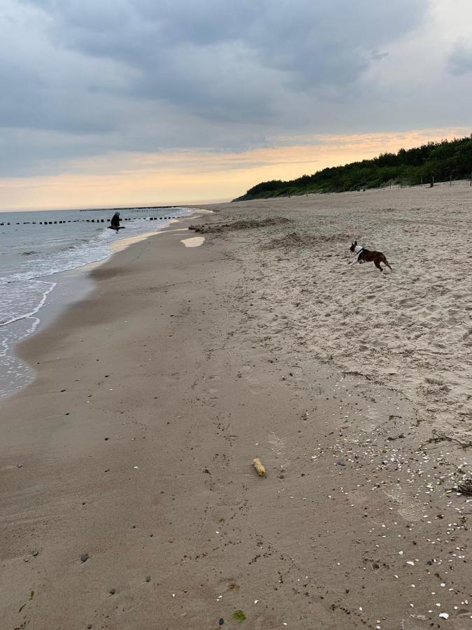Ive'S Gardenia Seaside Apartment Dziwnow Bagian luar foto